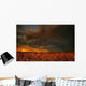 Rainbow Above Farmer's Field Wall Mural