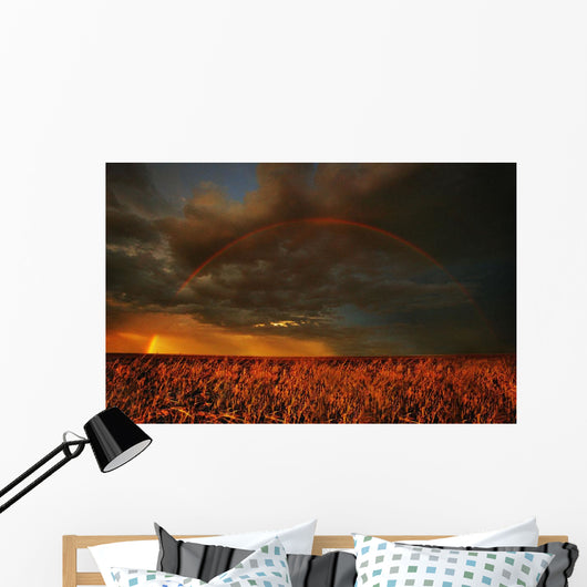 Rainbow Above Farmer's Field Wall Mural