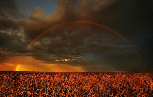 Rainbow Above Farmer's Field Wall Mural
