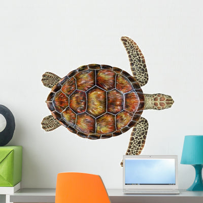 Sea Turtle Shell Wall Decal shown on a wall