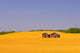 A Farmer's Field Wall Mural