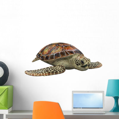 Sea Turtle Wall Decal shown on a wall