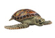 Sea Turtle Wall Decal