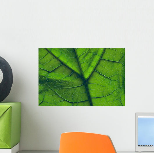 Close-Up Of A Leaf Wall Mural