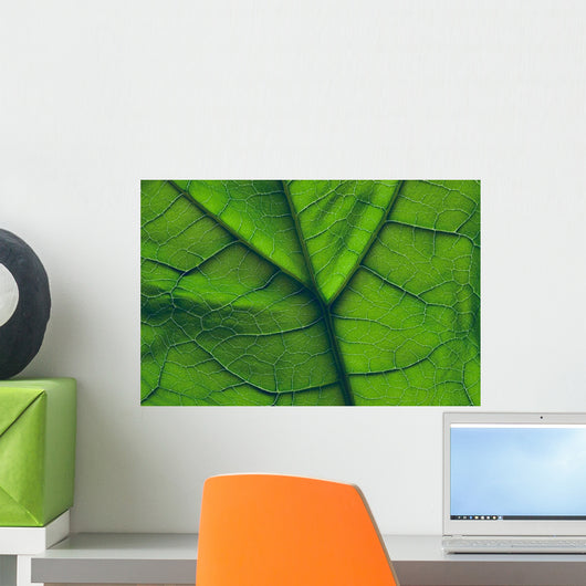Close-Up Of A Leaf Wall Mural