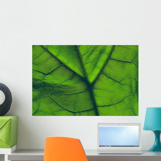 Close-Up Of A Leaf Wall Mural