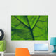 Close-Up Of A Leaf Wall Mural