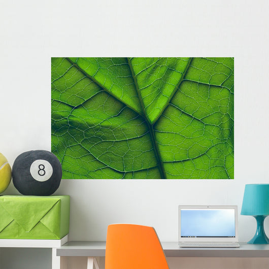 Close-Up Of A Leaf Wall Mural