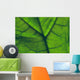 Close-Up Of A Leaf Wall Mural