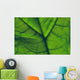 Close-Up Of A Leaf Wall Mural
