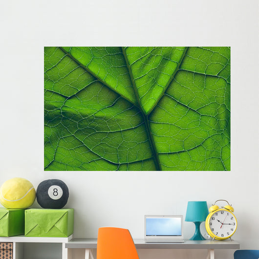 Close-Up Of A Leaf Wall Mural