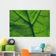 Close-Up Of A Leaf Wall Mural