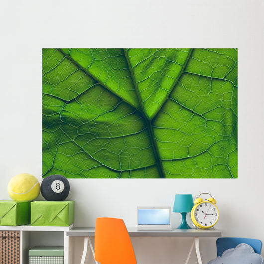 Close-Up Of A Leaf Wall Mural