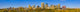 Edmonton Skyline Wall Mural