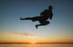 Silhouette In The Sunrise Wall Mural