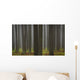 Tree Trunks Wall Mural