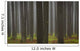 Tree Trunks Wall Mural