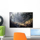 Sun Rays Ravine Wall Decal