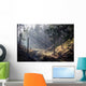 Sun Rays Ravine Wall Decal