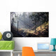 Sun Rays Ravine Wall Decal