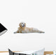 Golden Retriever Wall Decal