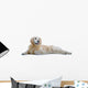 Golden Retriever Wall Decal