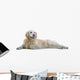 Golden Retriever Wall Decal