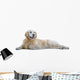 Golden Retriever Wall Decal