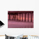 Sunset Behind Pier Wall Mural