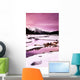 A Winter Mountain Scene Wall Mural