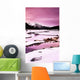 A Winter Mountain Scene Wall Mural
