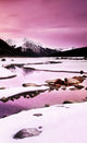 A Winter Mountain Scene Wall Mural