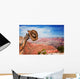 Hat hung on a branch near the Grand Canyon Wall Mural