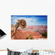Hat hung on a branch near the Grand Canyon Wall Mural