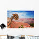 Hat hung on a branch near the Grand Canyon Wall Mural