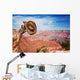 Hat hung on a branch near the Grand Canyon Wall Mural
