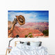 Hat hung on a branch near the Grand Canyon Wall Mural