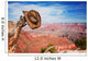 Hat hung on a branch near the Grand Canyon Wall Mural