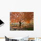 Autumn Glory Wall Decal