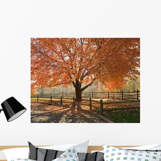 Autumn Glory Wall Decal