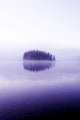 Trees Across A Calm Lake Wall Mural