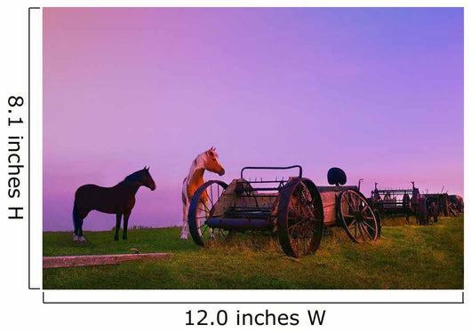 Horses Beside Broken Carriages Wall Mural
