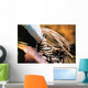 Cowboy With Rope Wall Mural