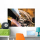 Cowboy With Rope Wall Mural