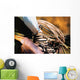 Cowboy With Rope Wall Mural