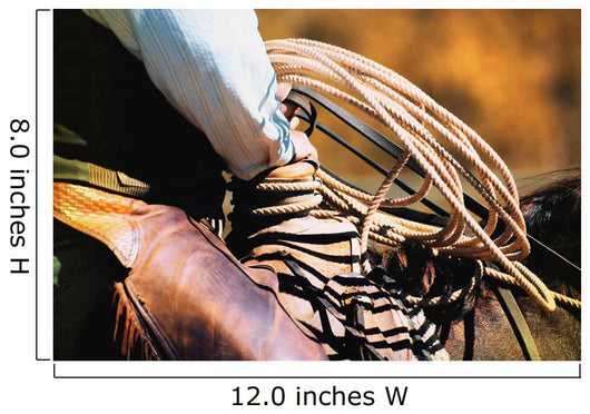 Cowboy With Rope Wall Mural