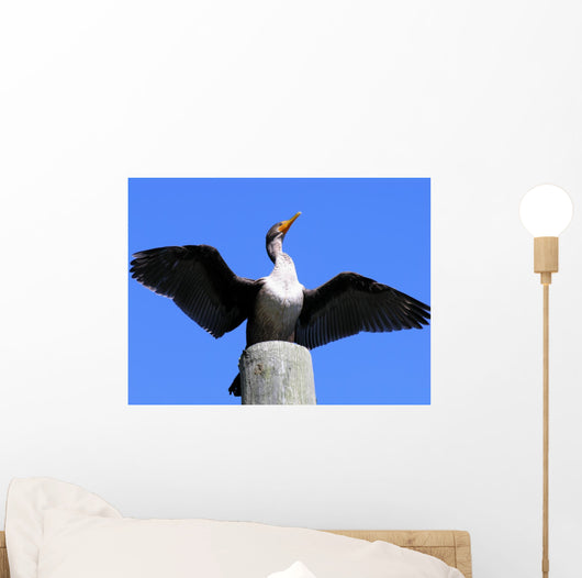 Double Crested Cormorant Wall Mural