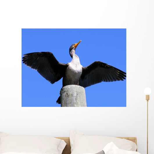 double crested cormorant Wall Mural