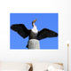 double crested cormorant Wall Mural
