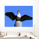 double crested cormorant Wall Mural